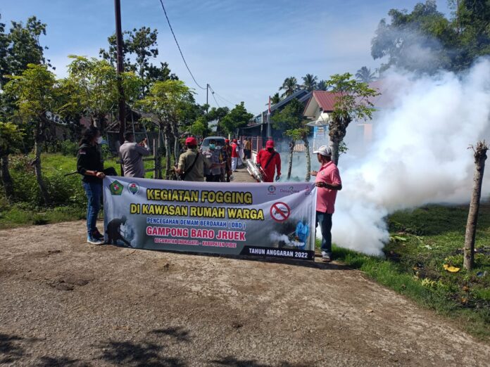 Pemerintah Desa Baro Jruek Antisipasi DBD dengan melakukan fogging