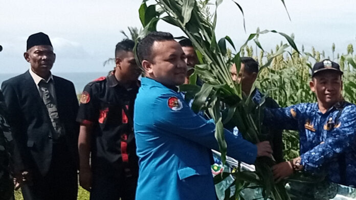 Usai Upacara Hari Sumpah Pemuda, Camat Mekarmukti Panen Sorgum Perdana