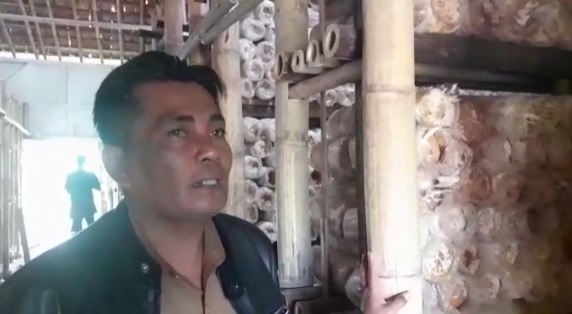 Kepala Desa Godog, Kecamatan Karangpawitan H Agus Komarudin kembangkan budidaya jamur tiram