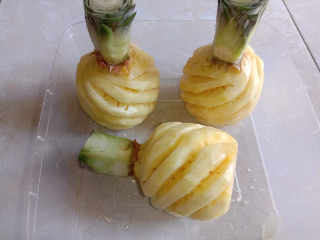 Buah Nanas (dok bircunews.com)