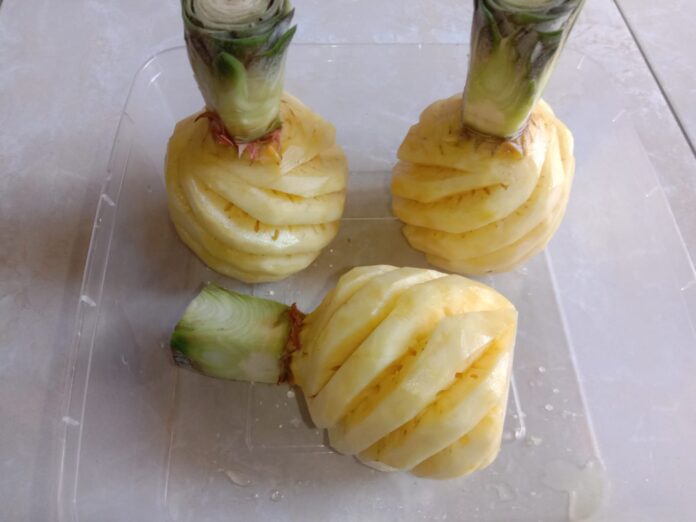 Buah Nanas (dok bircunews.com)