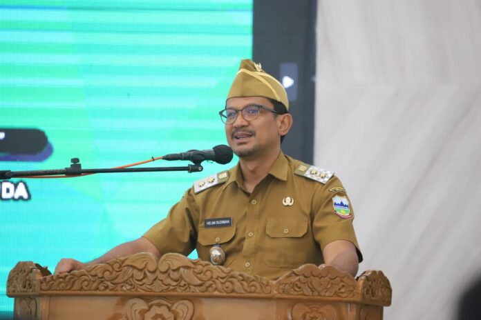 Helmi Budiman Wakil Bupati Garut