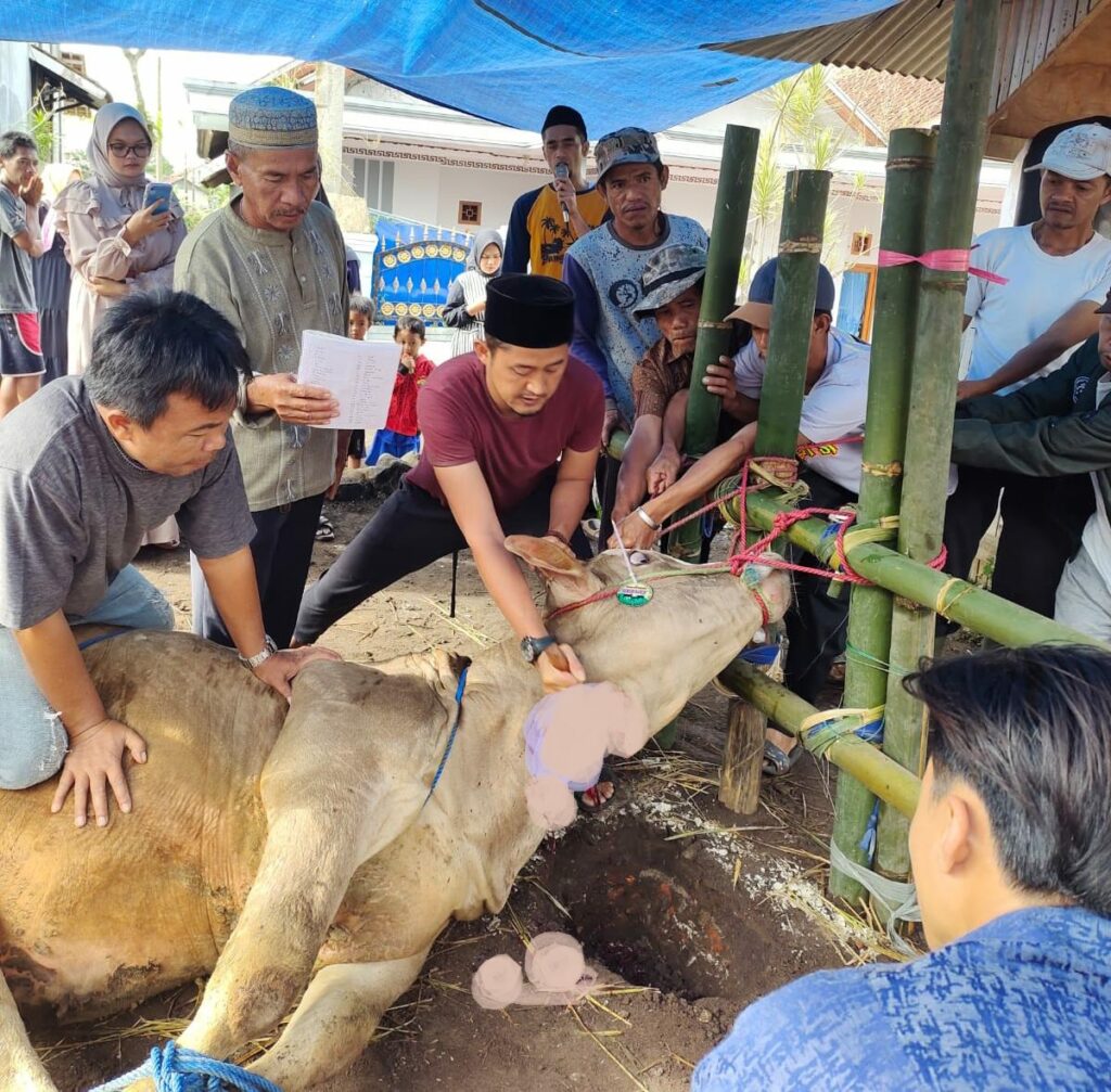 H Dadang Haris pengusaha properti dan kader PPP Garut berkurban di ponpes Al Hikmah