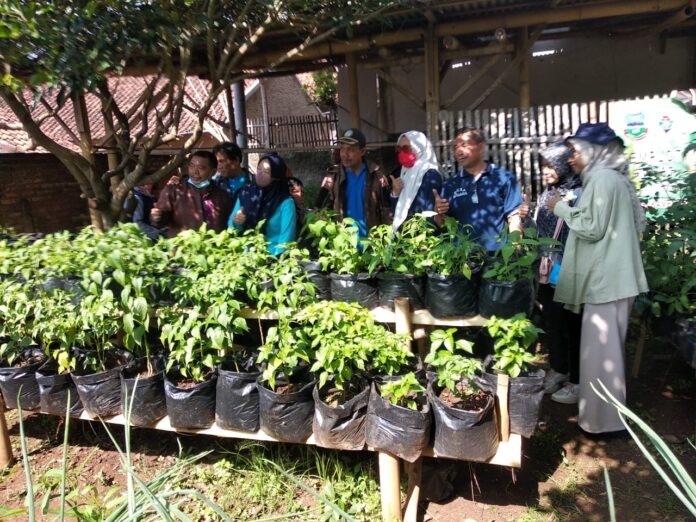 Camat Kersamanah Muhrom Suhandi melakukan monitoring Harum Madu di desa