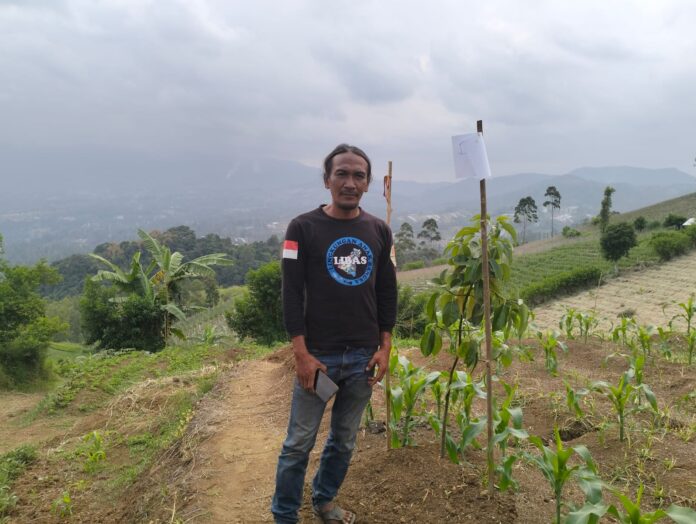 Tedi Sutardi selaku Ketua LIBAS,