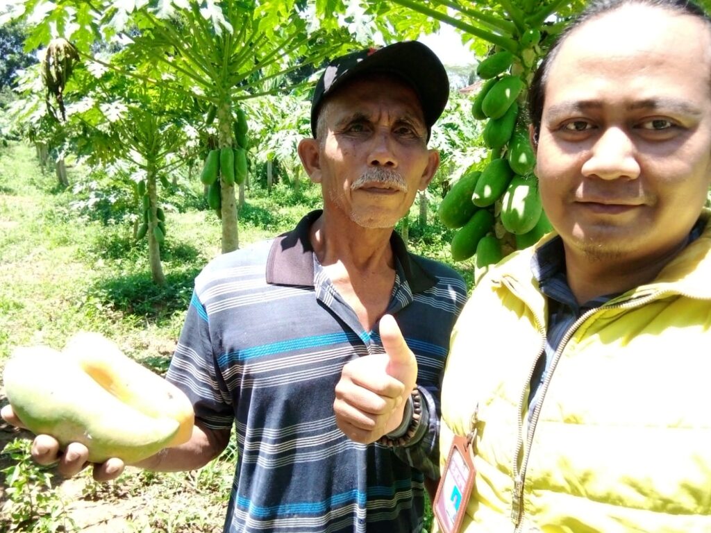Iri Tarsudin bersama Kabiro Bircunews Kabupaten Ciamis foto bersama di kebun pepaya