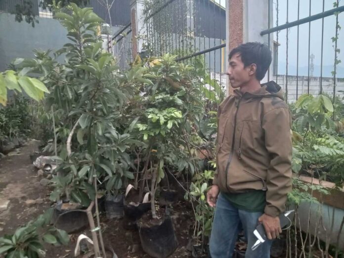 Revi Razip, pemilik Kios Mekar Bibit