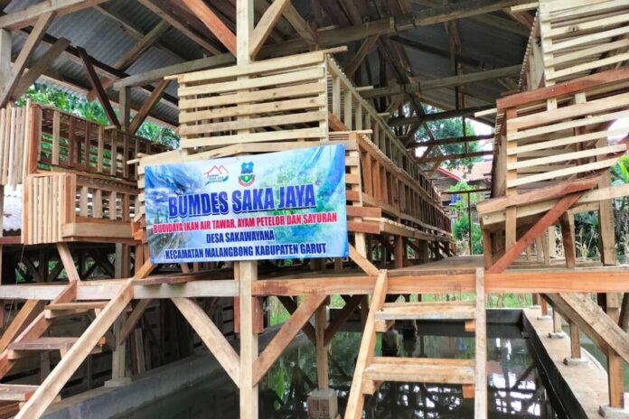 kandang ayam baru selesai dibangun BUMDes