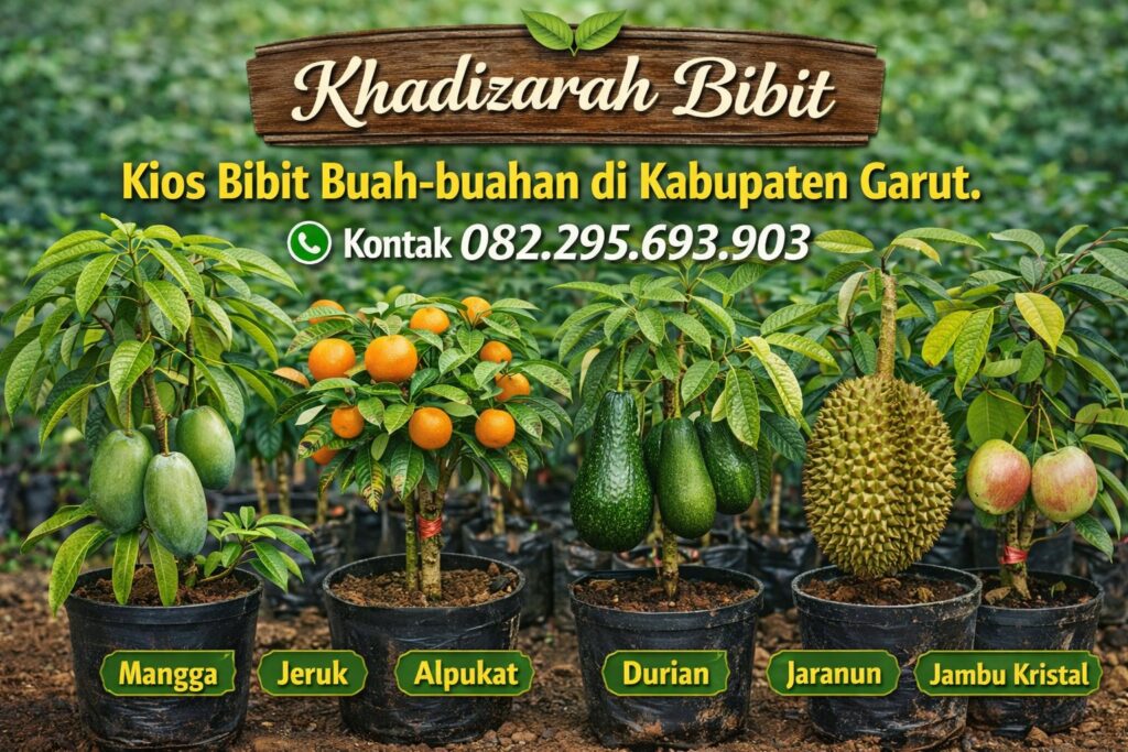ilustrasi bibit buah-buahan